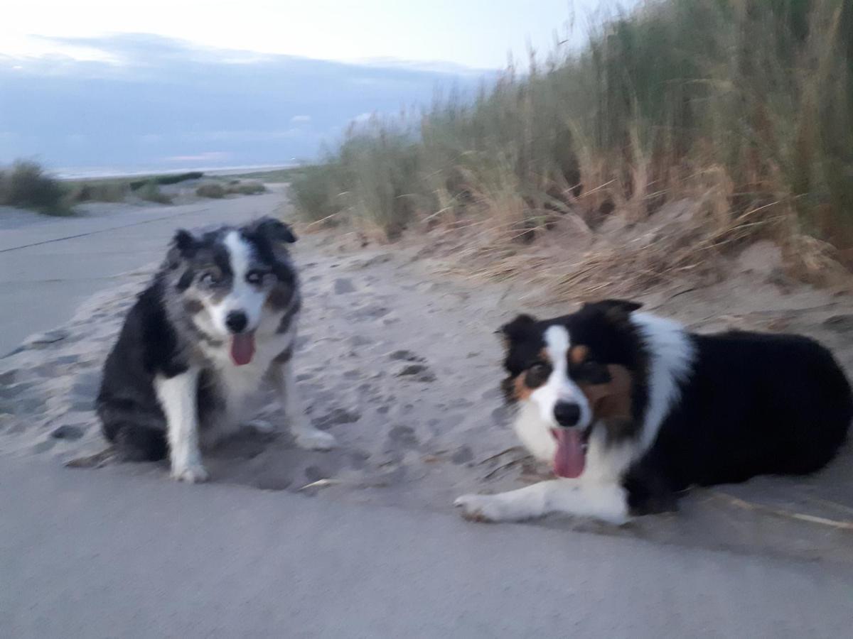 Studio Vlak Bij Het Strand Petten Exterior foto