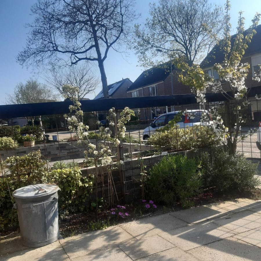 Studio Vlak Bij Het Strand Petten Exterior foto